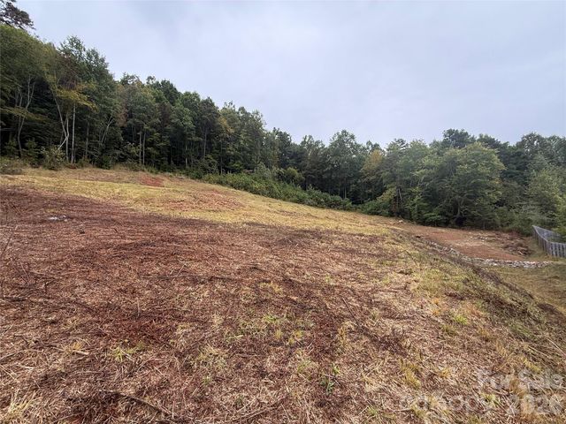87 Starwood Valley Trail, Arden, NC 28704