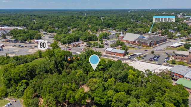 .88 ACRE N Wilson Street, Crestview, FL 32536