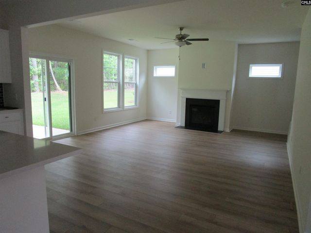 598 Griffon Drive, Chapin, SC 29036