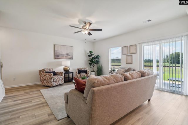 598 Griffon Drive, Chapin, SC 29036
