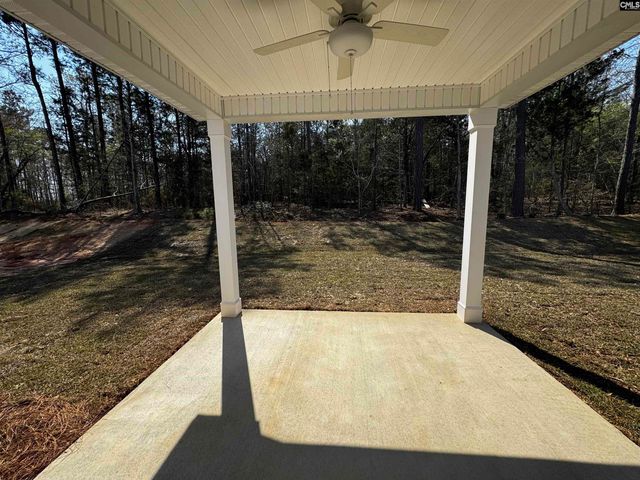 598 Griffon Drive, Chapin, SC 29036