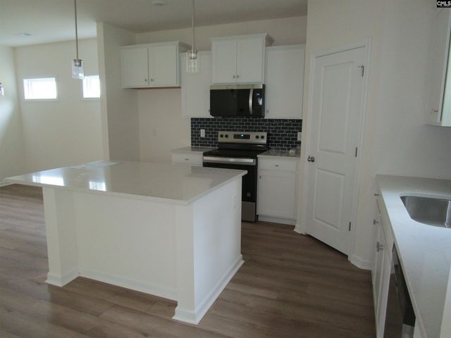 598 Griffon Drive, Chapin, SC 29036