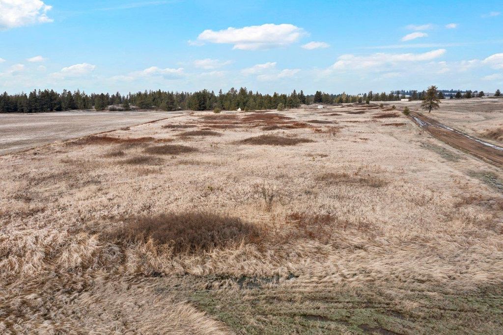 241xx W Kitt Rd, Spokane, WA 99029 photo 3