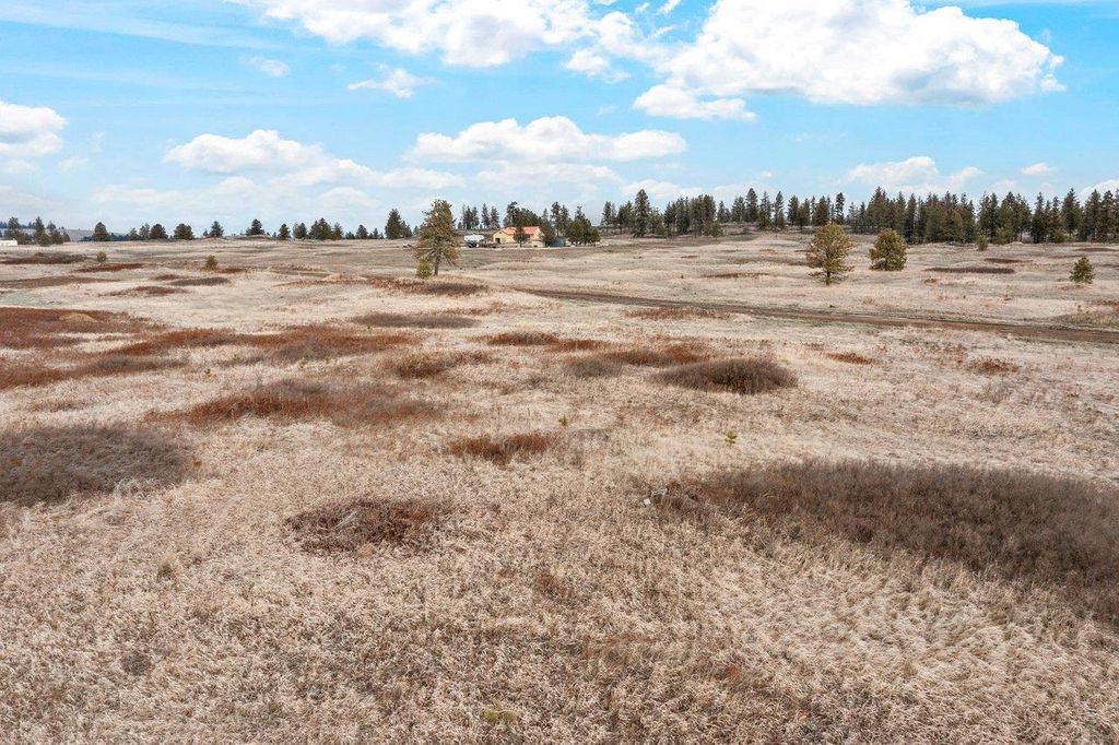 241xx W Kitt Rd, Spokane, WA 99029 photo 4