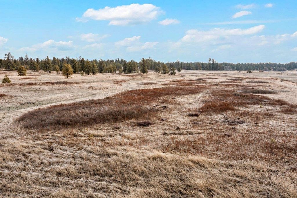 241xx W Kitt Rd, Spokane, WA 99029 photo 5