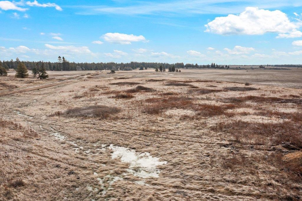 241xx W Kitt Rd, Spokane, WA 99029 photo 6