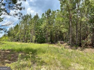LOT 7.5 Highway 19, Dublin, GA 31021