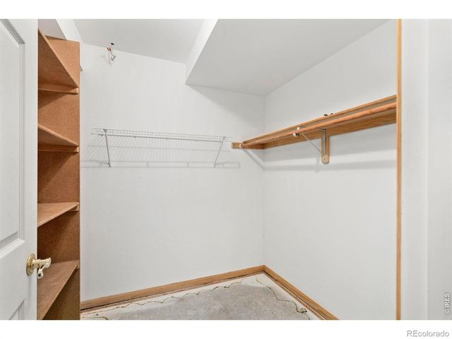 532 Trailwood Circle, Windsor, CO 80550