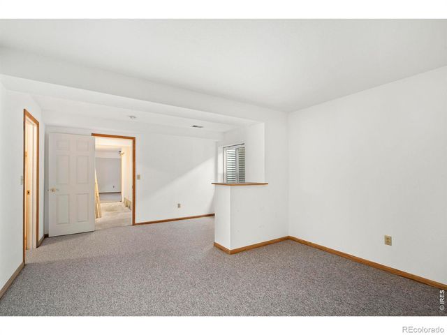 532 Trailwood Circle, Windsor, CO 80550