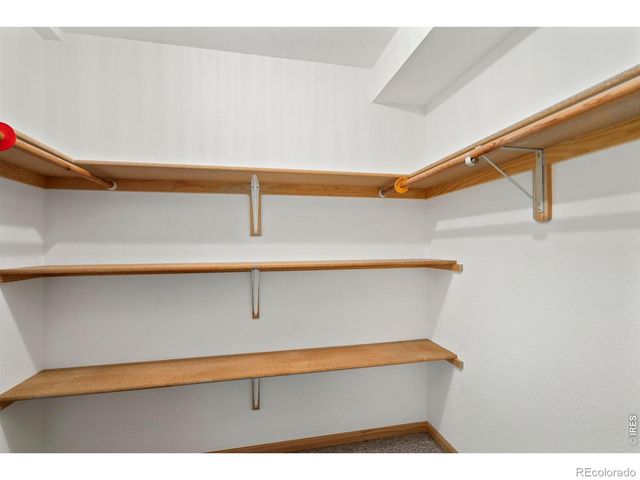 532 Trailwood Circle, Windsor, CO 80550