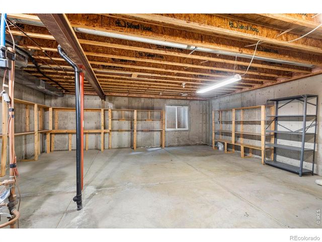 532 Trailwood Circle, Windsor, CO 80550