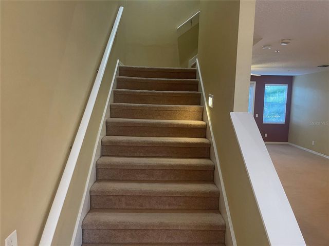 3002 POINTEVIEW DRIVE, Tampa, FL 33611