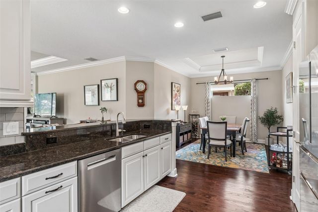 11503 CALLISIA DRIVE, Odessa, FL 33556