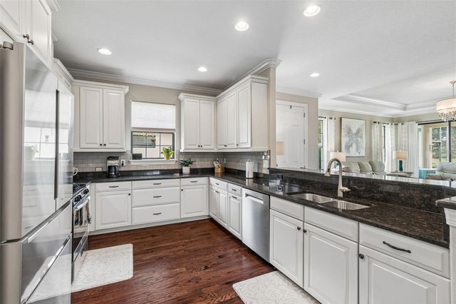 11503 CALLISIA DRIVE, Odessa, FL 33556
