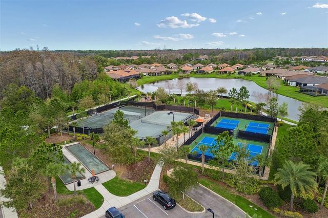 11503 CALLISIA DRIVE, Odessa, FL 33556