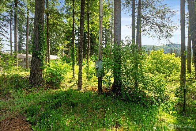 6182 Chestnut Drive, Maple Falls, WA 98266
