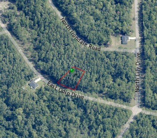 1345 E Odin Drive, Dunnellon, FL 34434