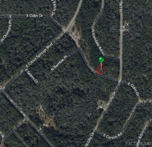 1345 E Odin Drive, Dunnellon, FL 34434