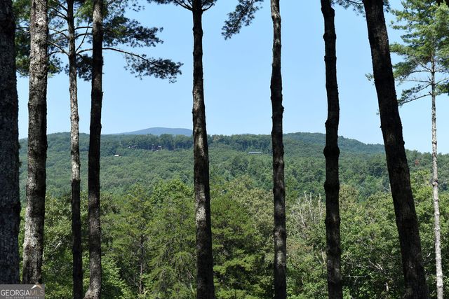 121 Noontootla Trail, Blue Ridge, GA 30513