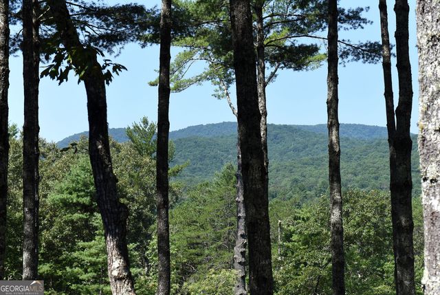 121 Noontootla Trail, Blue Ridge, GA 30513