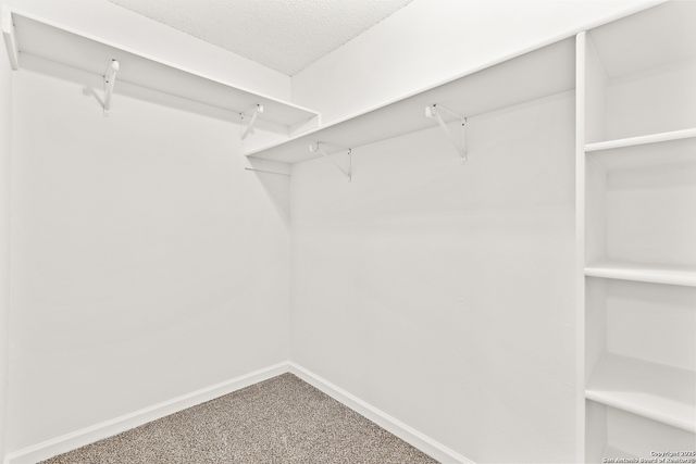 1687 Fir Circle, Schertz, TX 78154