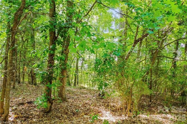 4446 MARION Drive, Terrell, NC 28682