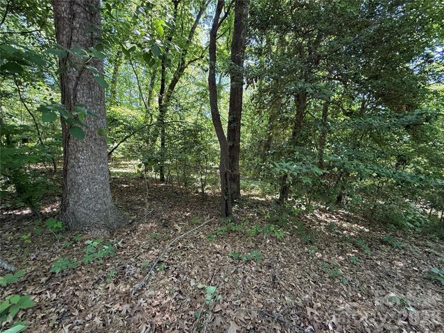 4446 MARION Drive, Terrell, NC 28682