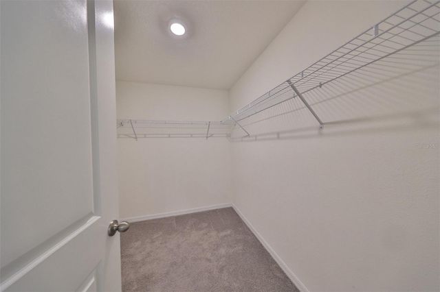 16782 CARLTON POND STREET, Wimauma, FL 33598