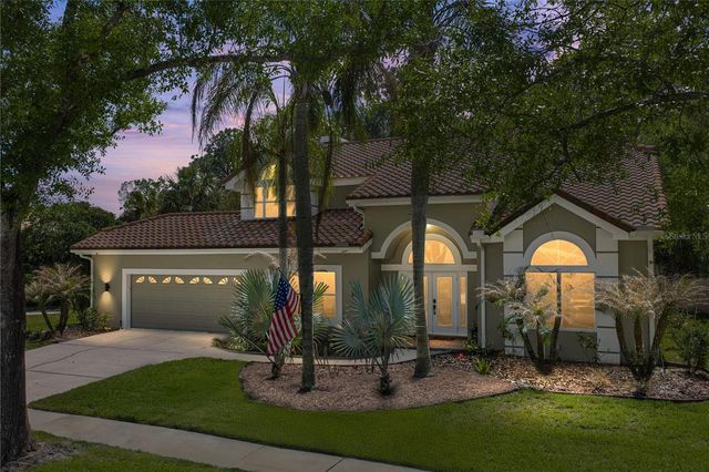 17820 GREY BROOKE DRIVE, Tampa, FL 33647