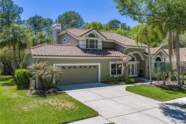 17820 GREY BROOKE DRIVE, Tampa, FL 33647