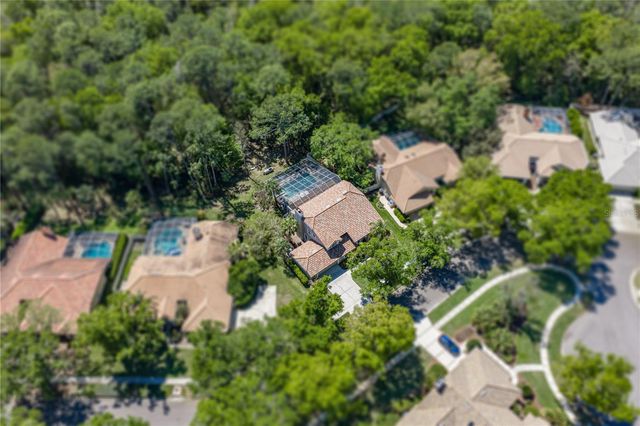 17820 GREY BROOKE DRIVE, Tampa, FL 33647