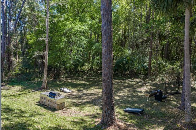 17820 GREY BROOKE DRIVE, Tampa, FL 33647