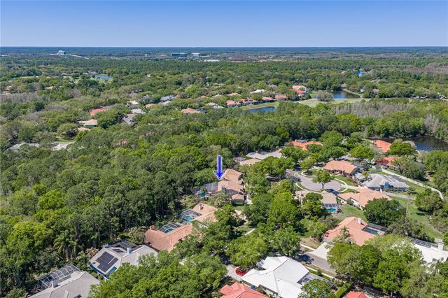 17820 GREY BROOKE DRIVE, Tampa, FL 33647