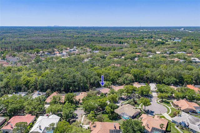 17820 GREY BROOKE DRIVE, Tampa, FL 33647