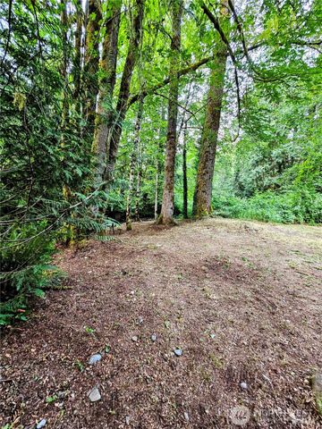 23618 SE Tiger Mountain Road, Issaquah, WA 98027