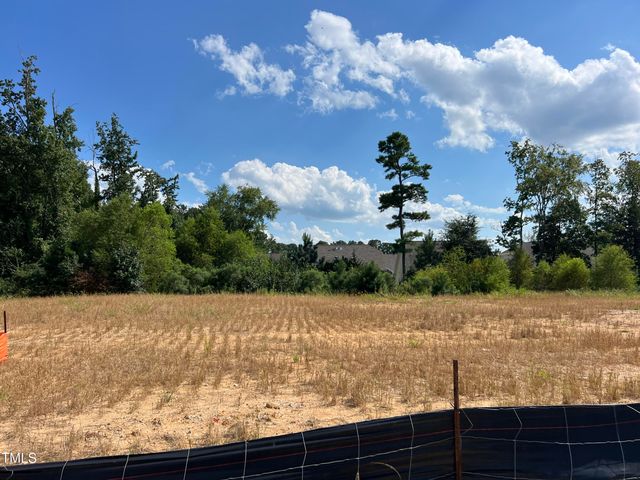 713 Ahad Court, Apex, NC 27523