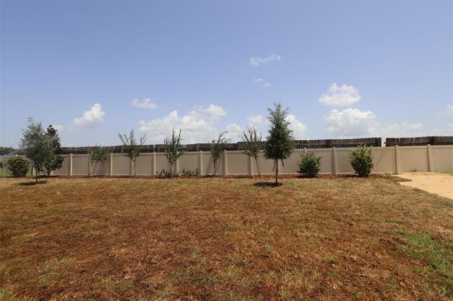 3206 WOLF LAKE AVENUE, Apopka, FL 32712