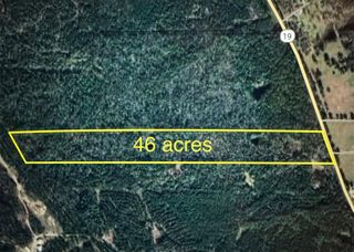 4109 N State Highway 19, Trinity, TX 75862