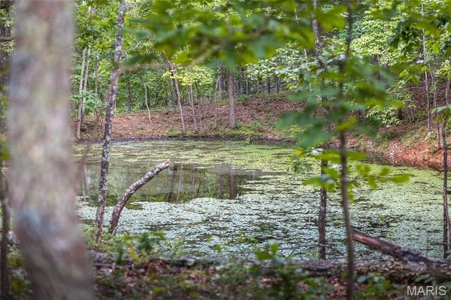 3800 Cr-4080, Salem, MO 65560