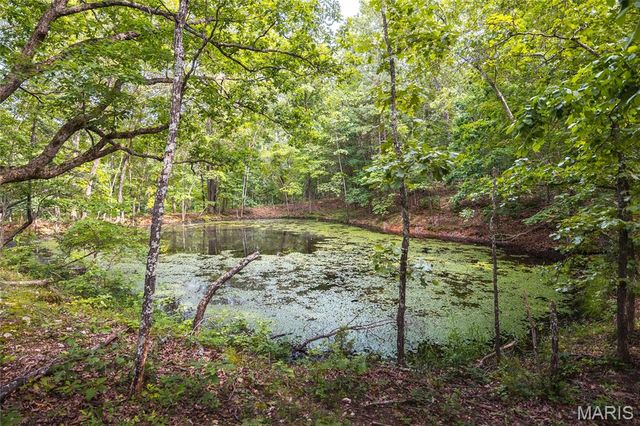 3800 Cr-4080, Salem, MO 65560