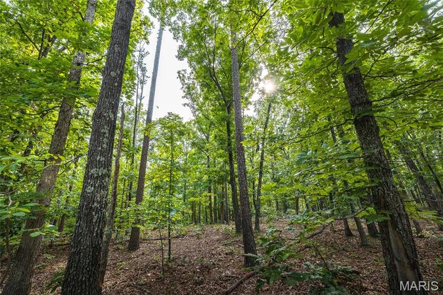 3800 Cr-4080, Salem, MO 65560