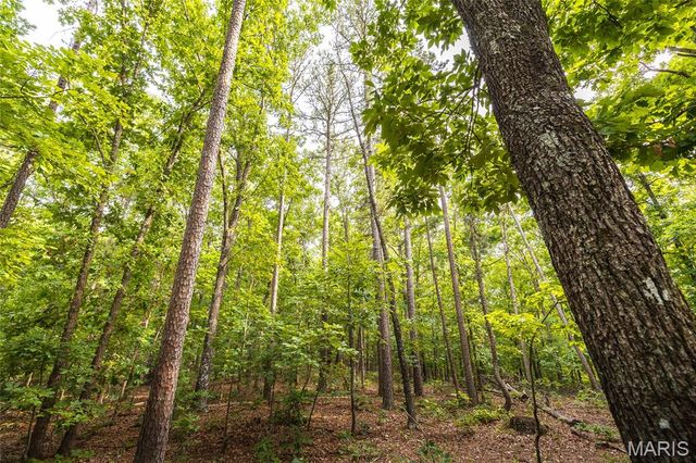 3800 Cr-4080, Salem, MO 65560