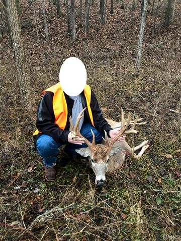 3800 Cr-4080, Salem, MO 65560