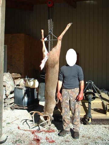 3800 Cr-4080, Salem, MO 65560