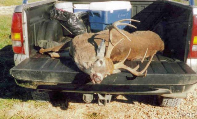 3800 Cr-4080, Salem, MO 65560