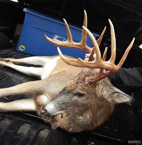 3800 Cr-4080, Salem, MO 65560