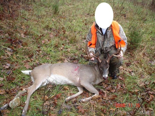 3800 Cr-4080, Salem, MO 65560