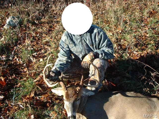 3800 Cr-4080, Salem, MO 65560