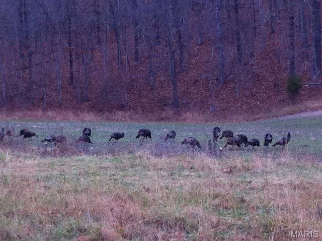 3800 Cr-4080, Salem, MO 65560