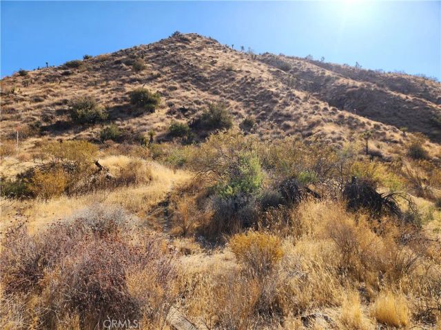 29 Palms, Morongo Valley, CA 92256